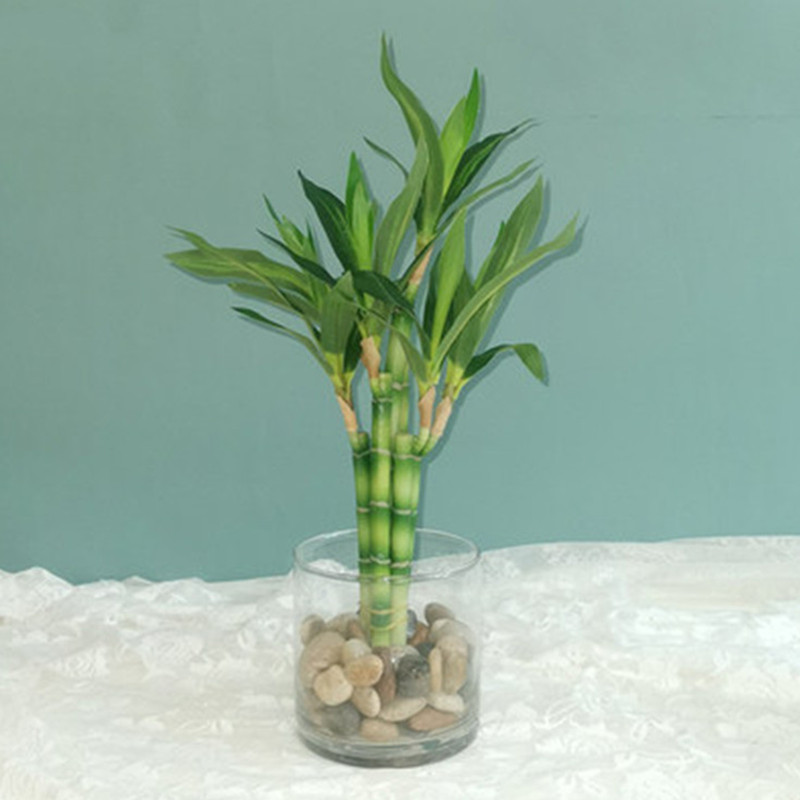 New 40cm Artificial Lucky Bamb - огляд і ціна Desk Setup Plants