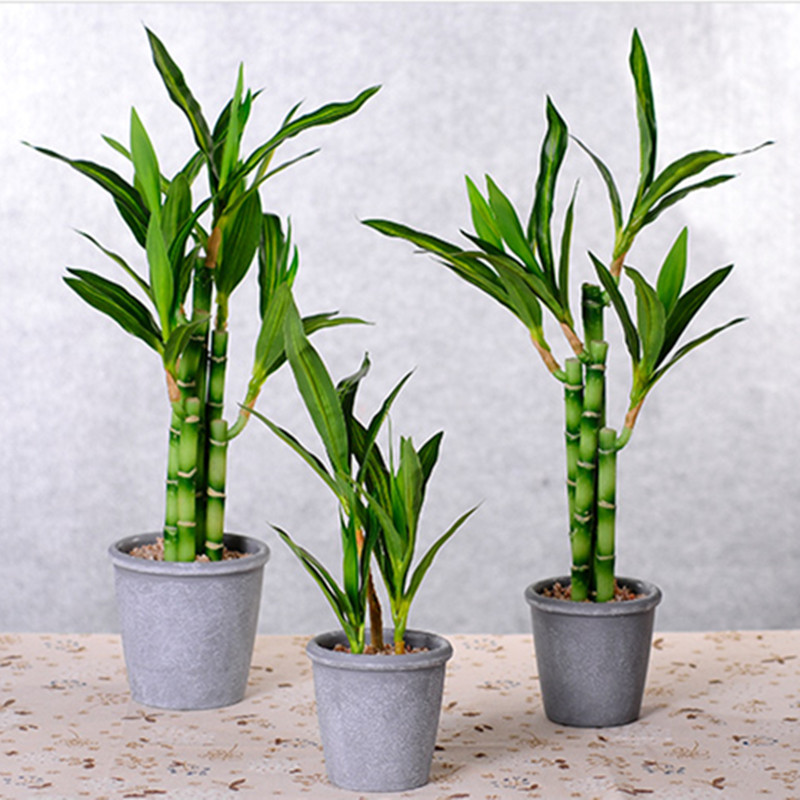 New 40cm Artificial Lucky Bamb - огляд і ціна Desk Setup Plants