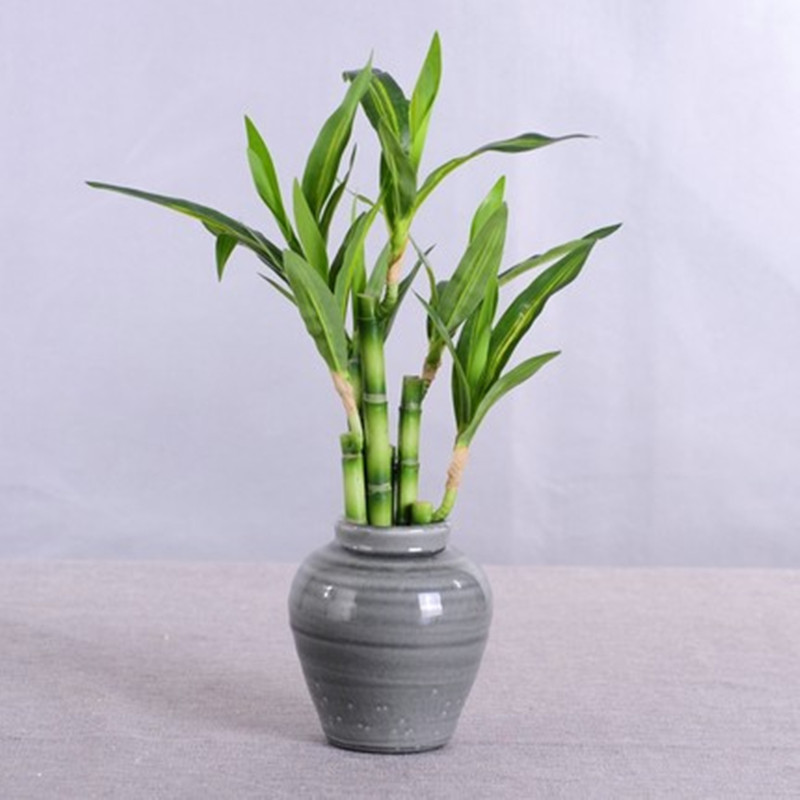 New 40cm Artificial Lucky Bamb - огляд і ціна Desk Setup Plants