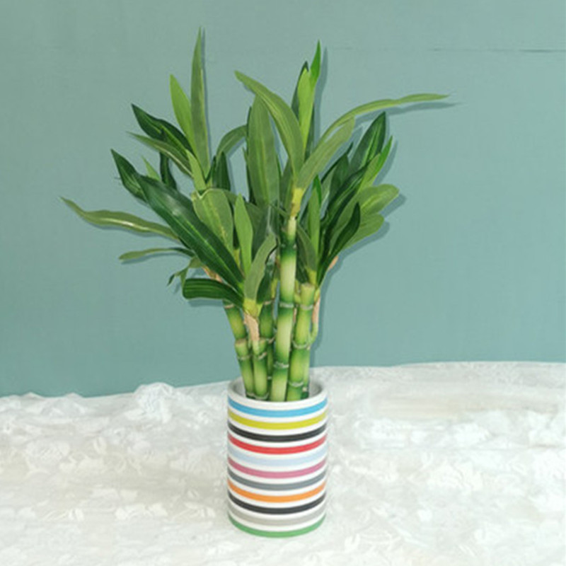 New 40cm Artificial Lucky Bamb - огляд і ціна Desk Setup Plants