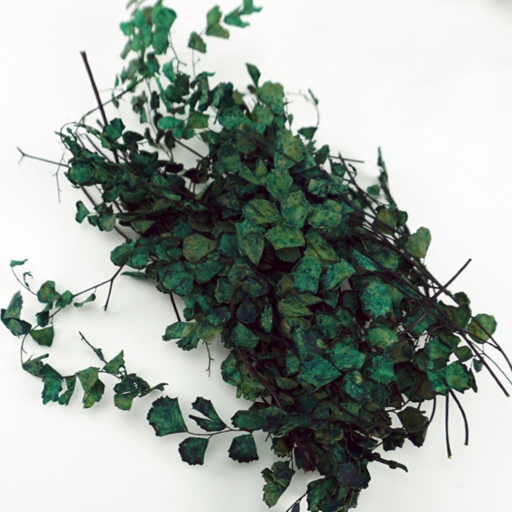 1 Box Scene Model Micro Landsc - огляд і ціна Desk Setup Plants